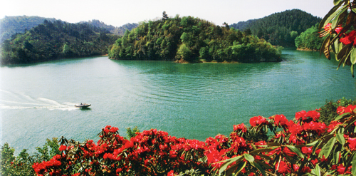 杜鹃湖                