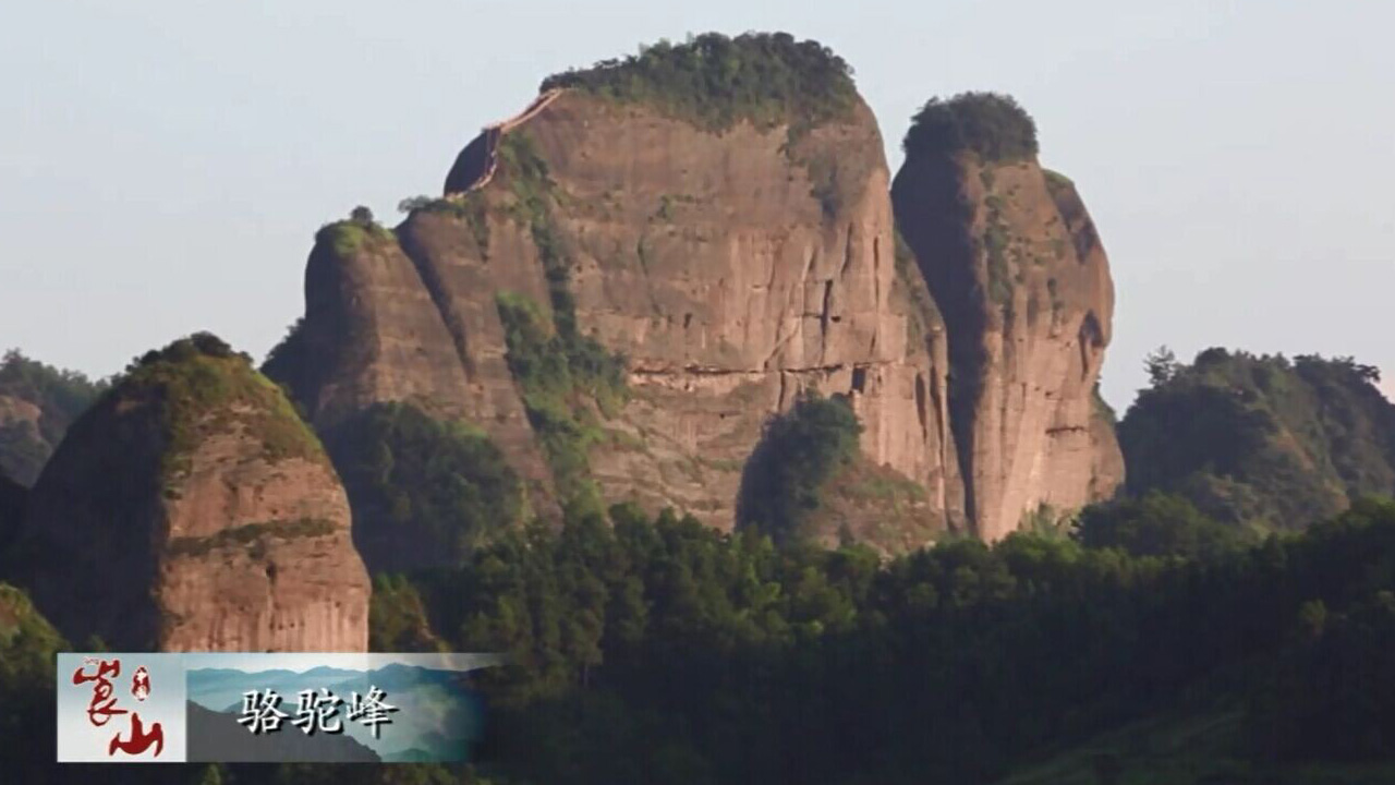 【骆驼峰(游不低于1小时:经(龙口朝阳,九九天梯,人与自然和谐相处