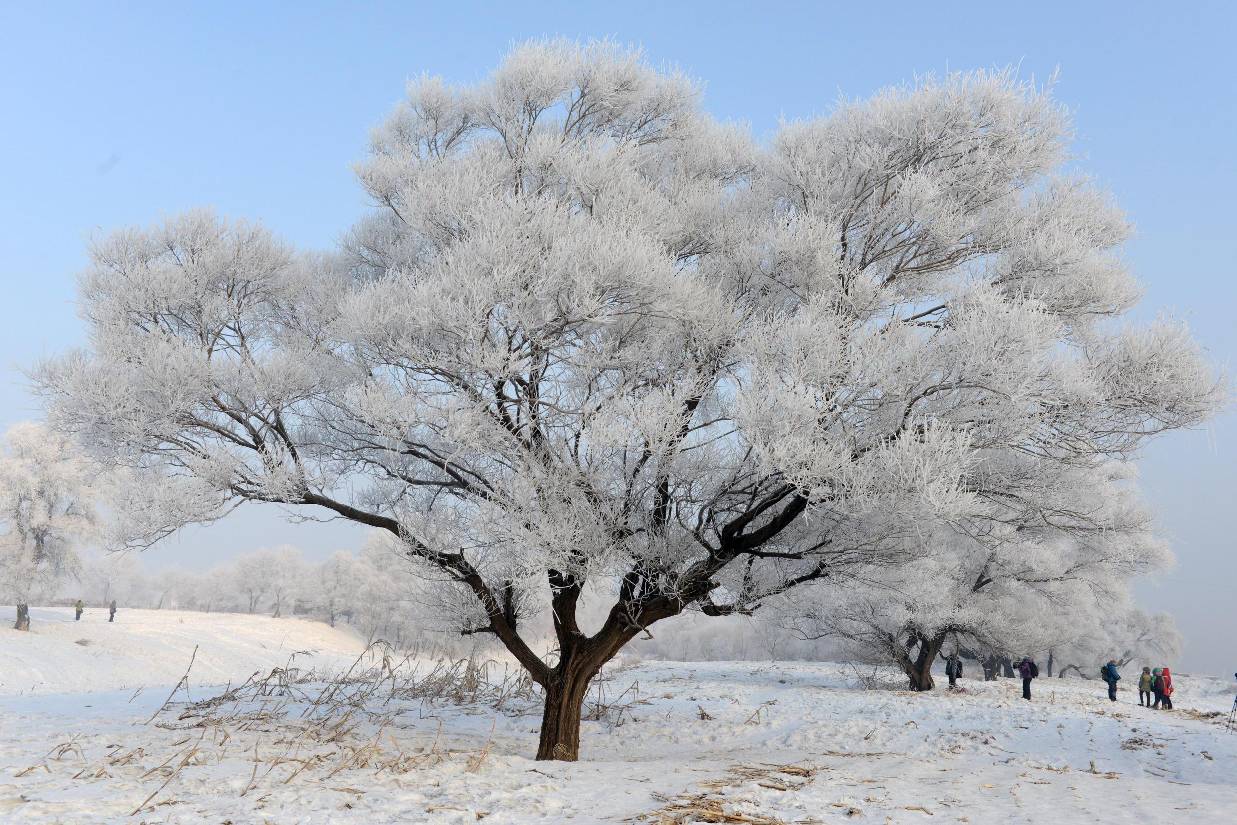 冰雪人口_冬奥会商机 滑雪场争抢 3亿人 大蛋糕(3)