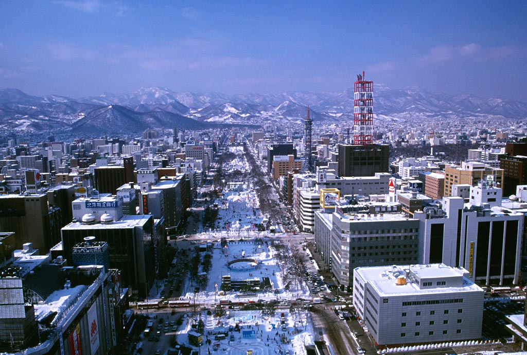 北海道冬季富良野/札幌 温泉玩雪5日游(1天自由活动/4