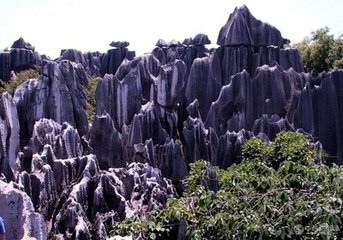 黑石林                