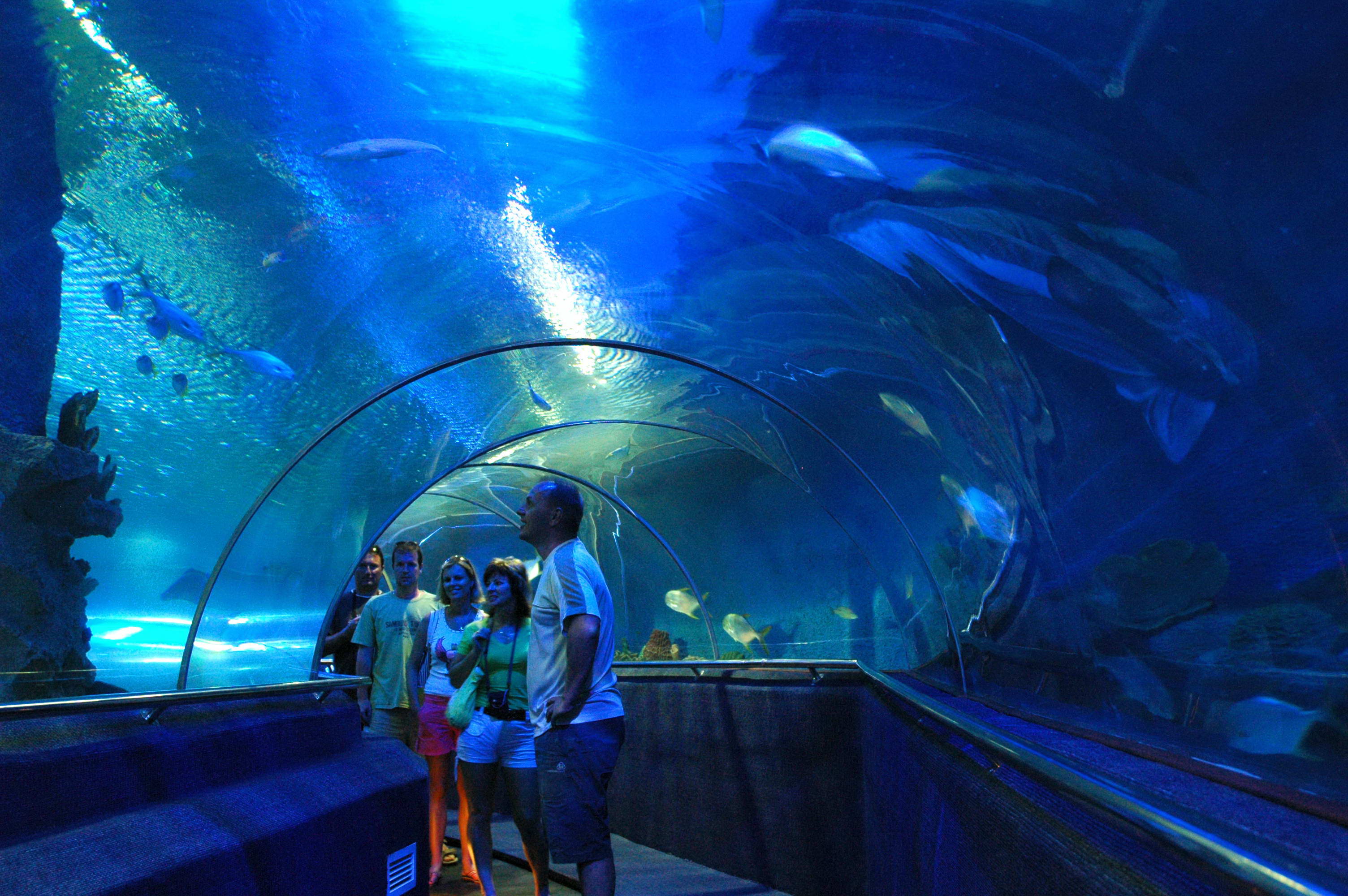 壁纸 海底 海底世界 海洋馆 水族馆 3008_2000