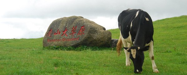 湖南邵阳崀山,南山牧场,大园古苗寨 4晚5日游(休闲双卧)