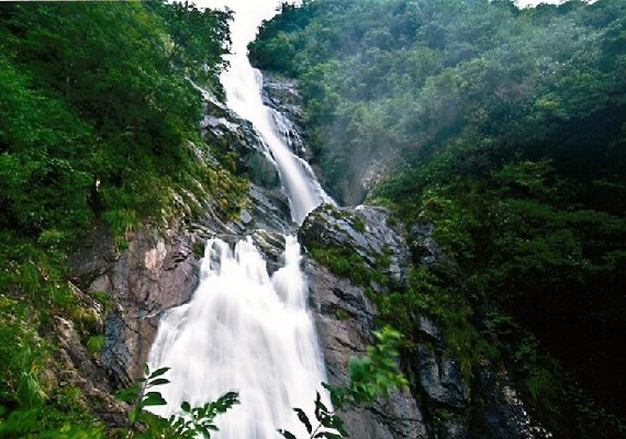 【亲子游】临安西天目山,天目大峡谷1晚2日跟团游