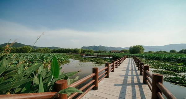湖州图影湿地,观月亮酒店世界第九湾1日游