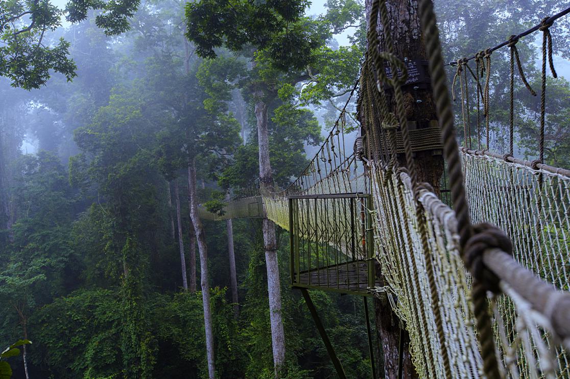 云南昆明,版纳,望天树热带雨林5晚6日跟团游(3飞)