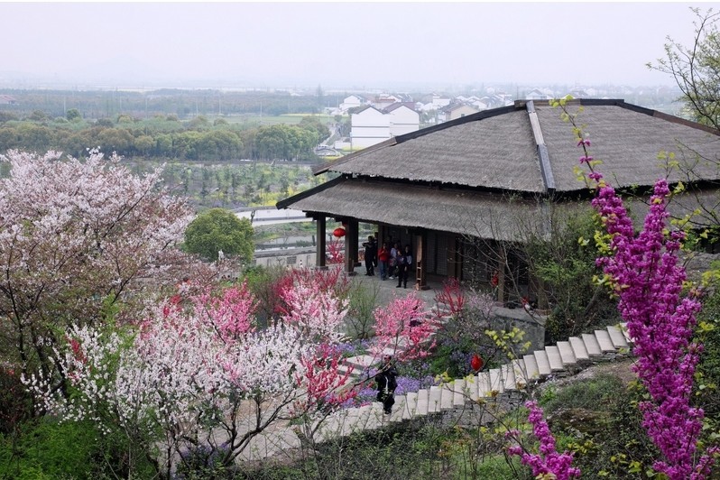 游吼山景区桃花节送大香林景区 住绍兴世贸君亭酒店1晚2日自驾游