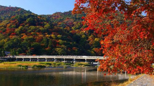 日本本州双古都双温泉5晚6日游(jl/ca,枫叶季,枫迷《香岚溪 岚山渡