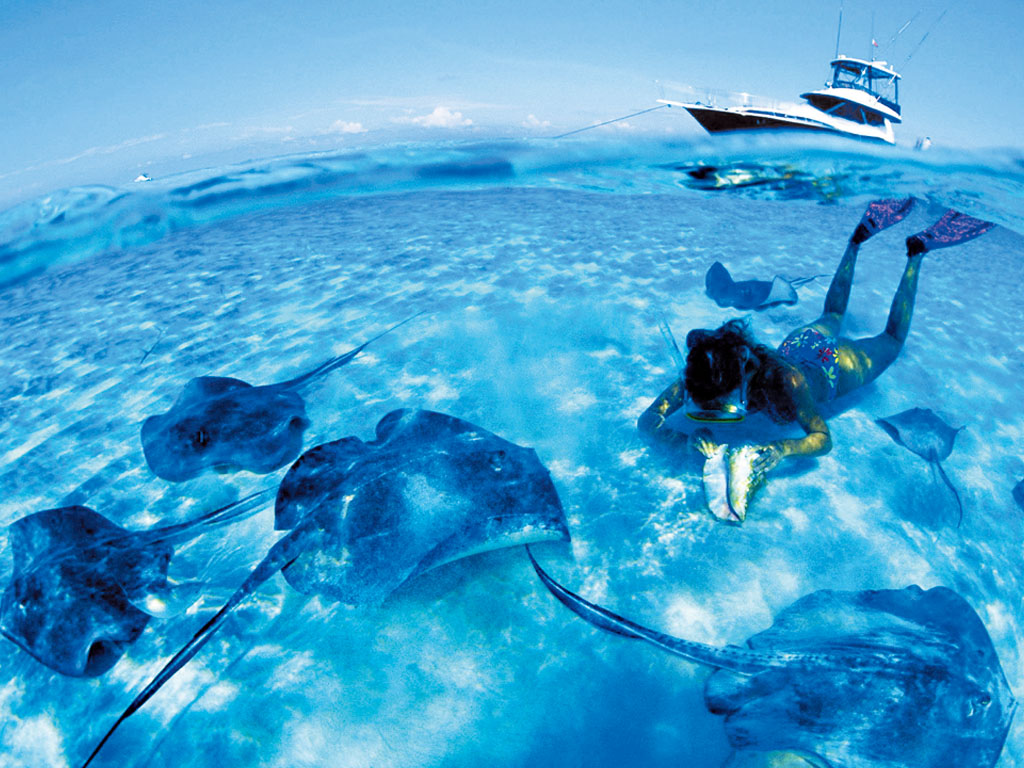 沙巴一地3晚5日自由行(马航直飞,3星机加酒-酒店可升级,行程可搭配)