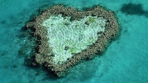          心形大堡礁