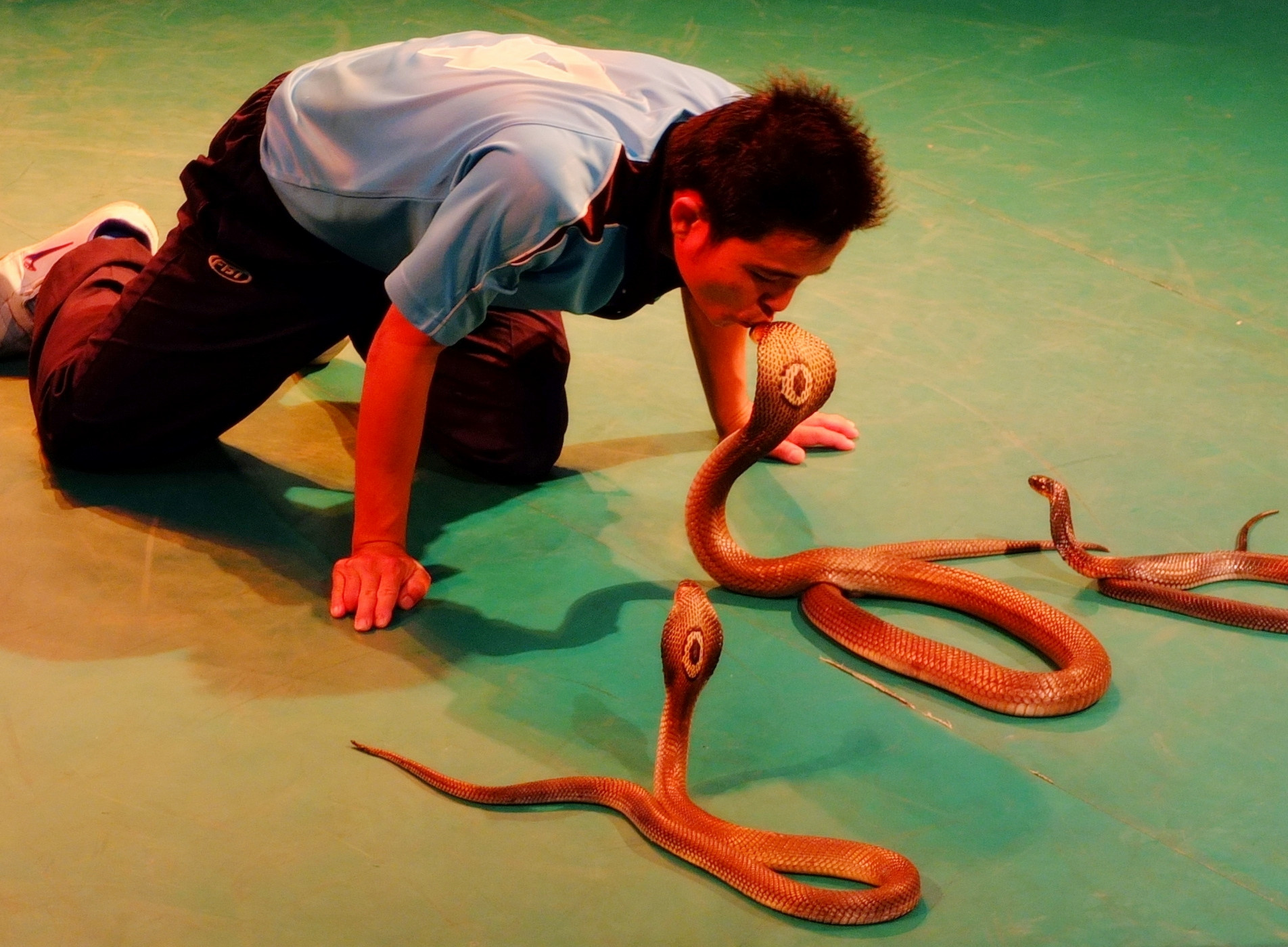 清新小资/月光滚球/极限青春:高空滑楼/夜游暹罗湾/人妖秀啤酒大赛/水