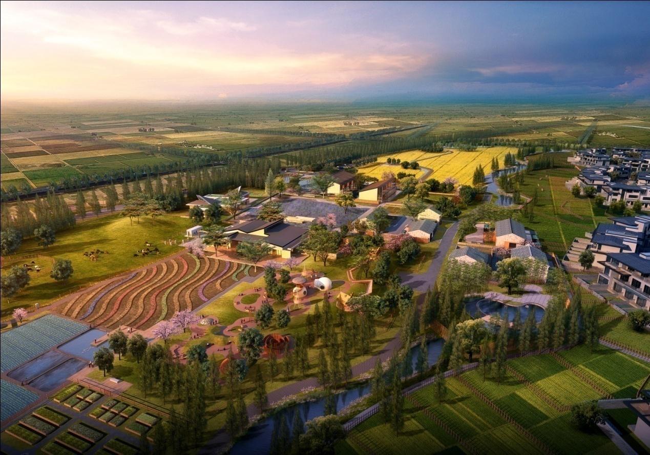 【暑期】田园东方,无锡阳山水蜜桃采摘一日游