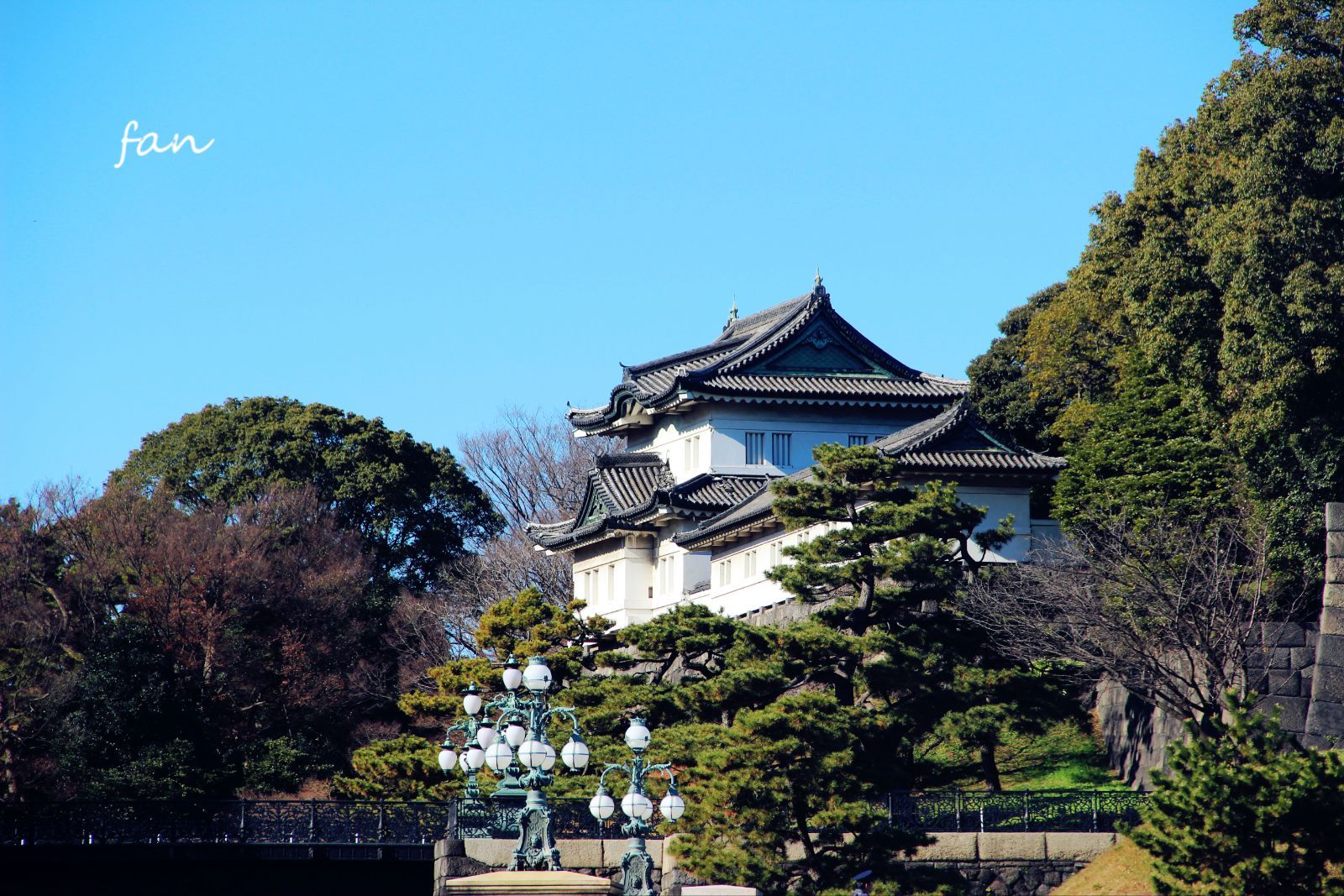 【尊悦本州】东京大阪富士山双自由温泉高品6日
