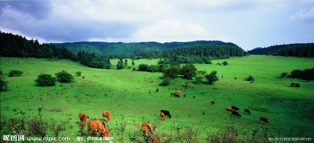 环游渝中半岛风光(车观),参观重庆市一级文物保护单位湖广会馆,品读数