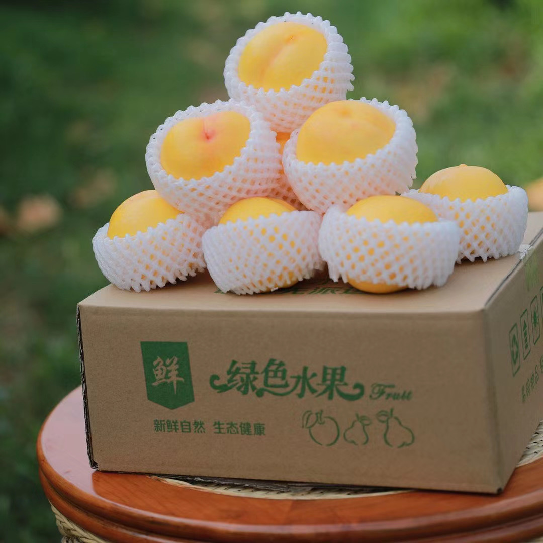 河北秦皇岛油桃基地中油金铭,又大又甜,甜度18,硬桃,1箱9个4.