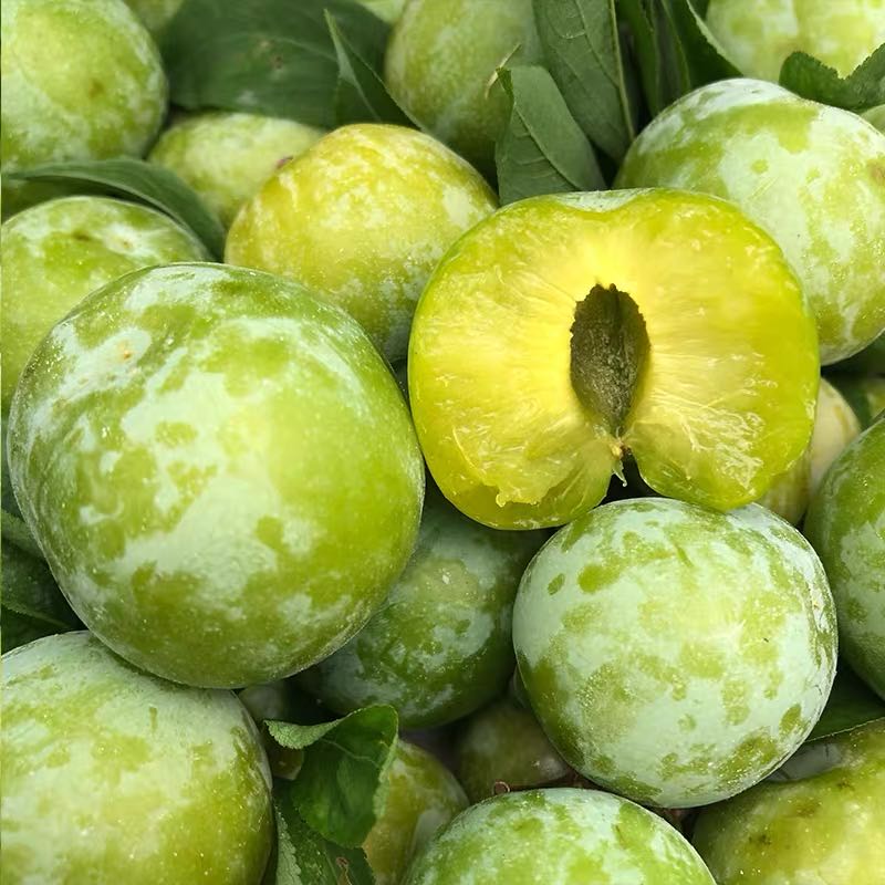 【重庆巫山脆李】脆嫩爽口,香甜多汁,4斤,中果25-30g,圆通通冷链