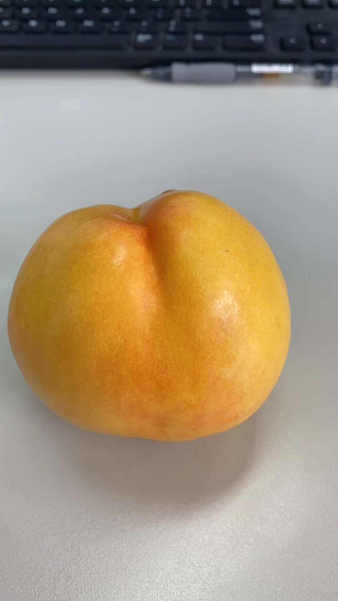 河北秦皇岛油桃基地中油金铭,红黄混发,中果,1箱9个,4两/只,顺丰包邮!