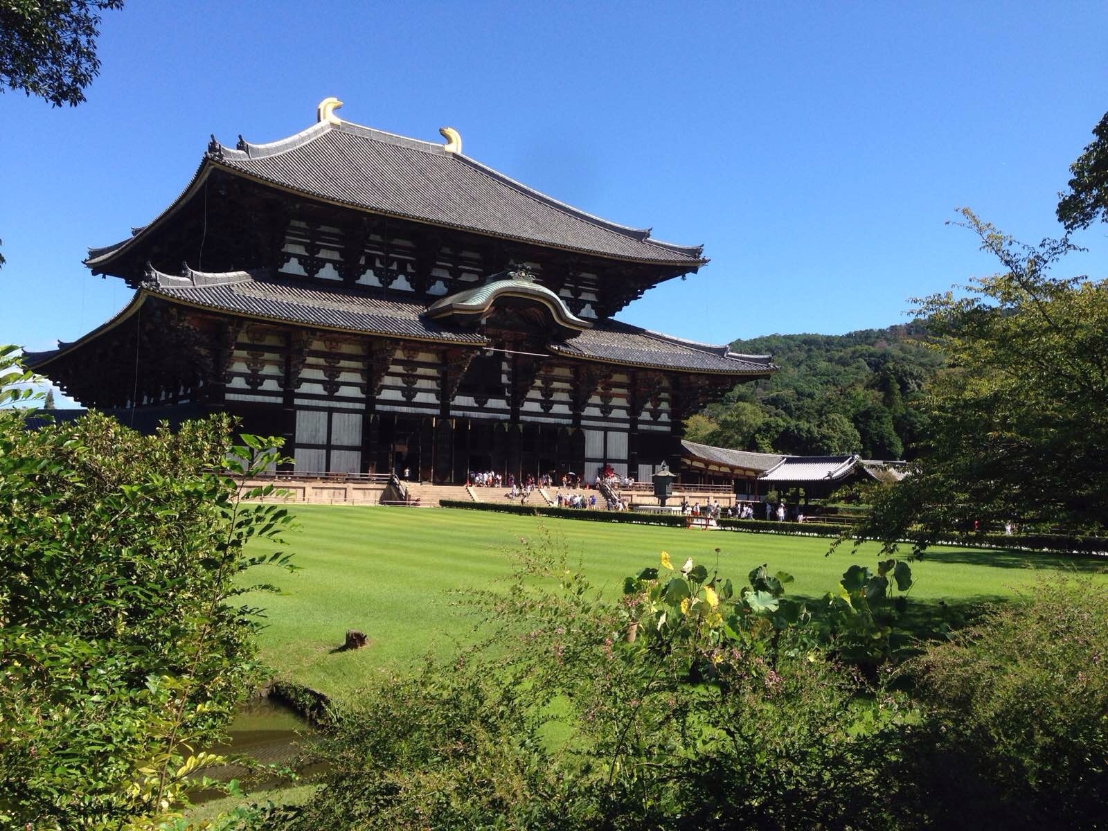 【逍遥游】日本大阪 京都 奈良 和歌山温泉5日深度游(游不一样的日本