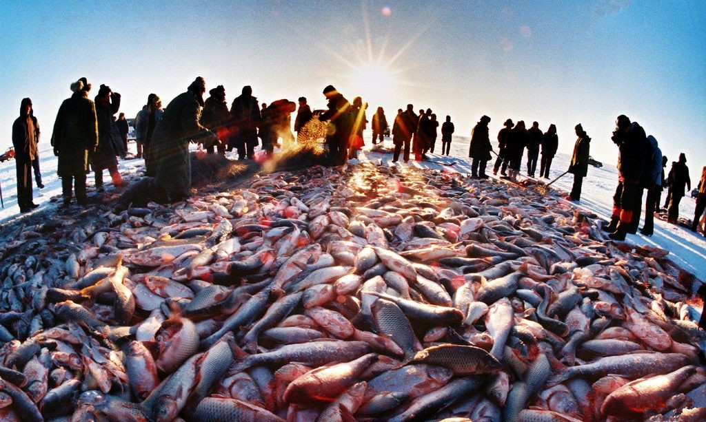 【冰雪奇缘】长春,吉林松花湖冬捕,激情滑雪,梦幻雪乡,哈尔滨双飞6日