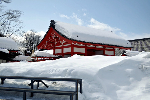【春节】特价·北海道冬季富良野札幌温泉玩雪5日游(1天自由活动/4-5