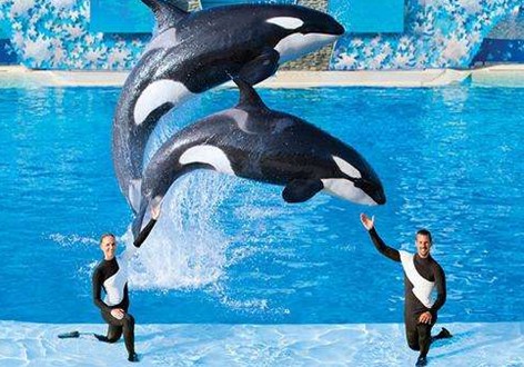 【春节】【观太阳马戏】【亲子】【畅游三大主题乐园