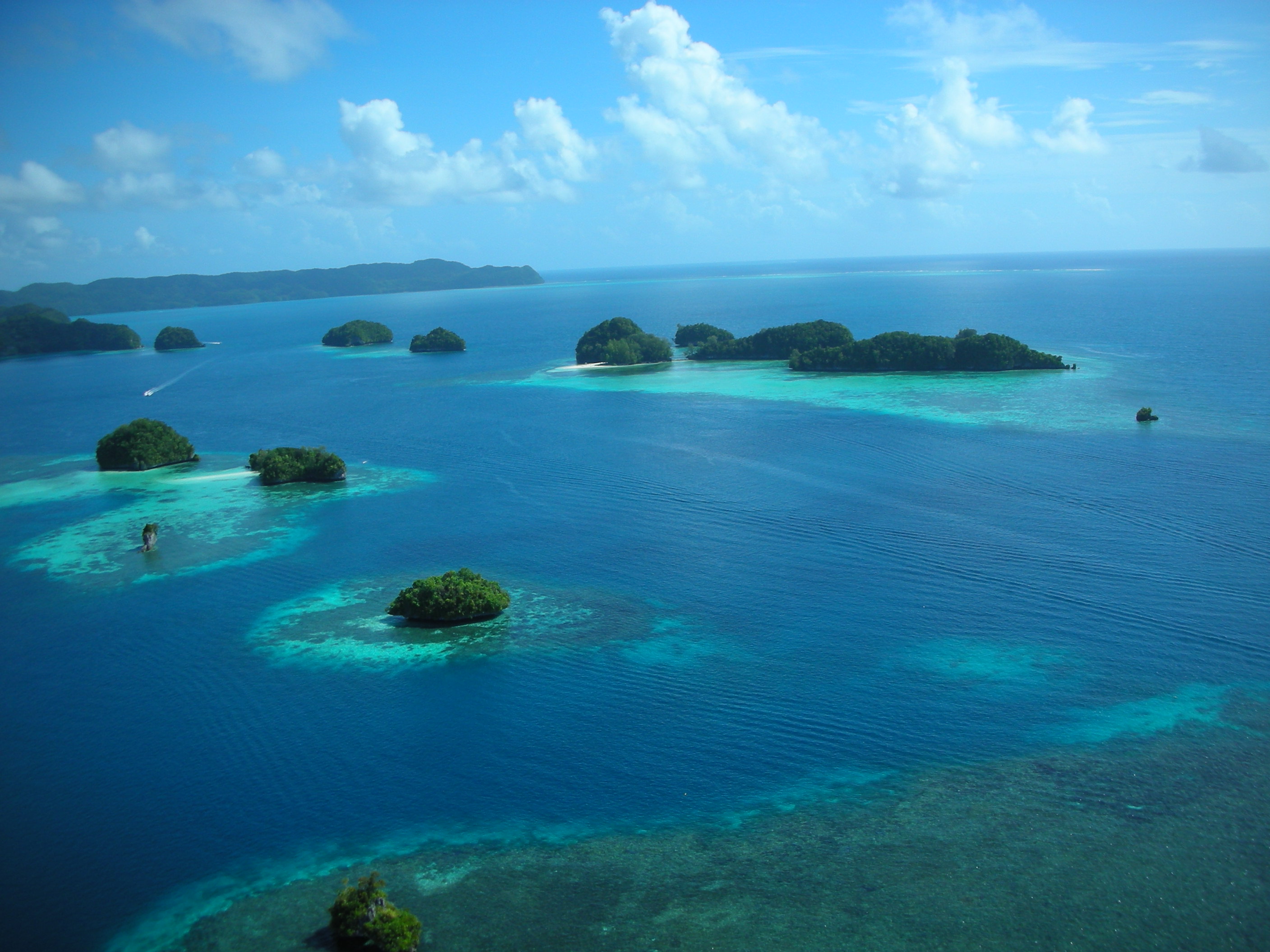 各位贵宾于指定时间自行前往澳门国际机场,乘搭飞机飞往太平洋岛国