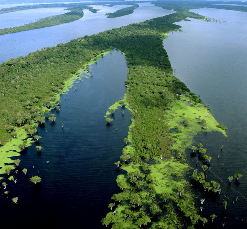 等,领略内格罗河与索利芒斯河黑白色河水相交之奇观景象(不少于3小时)