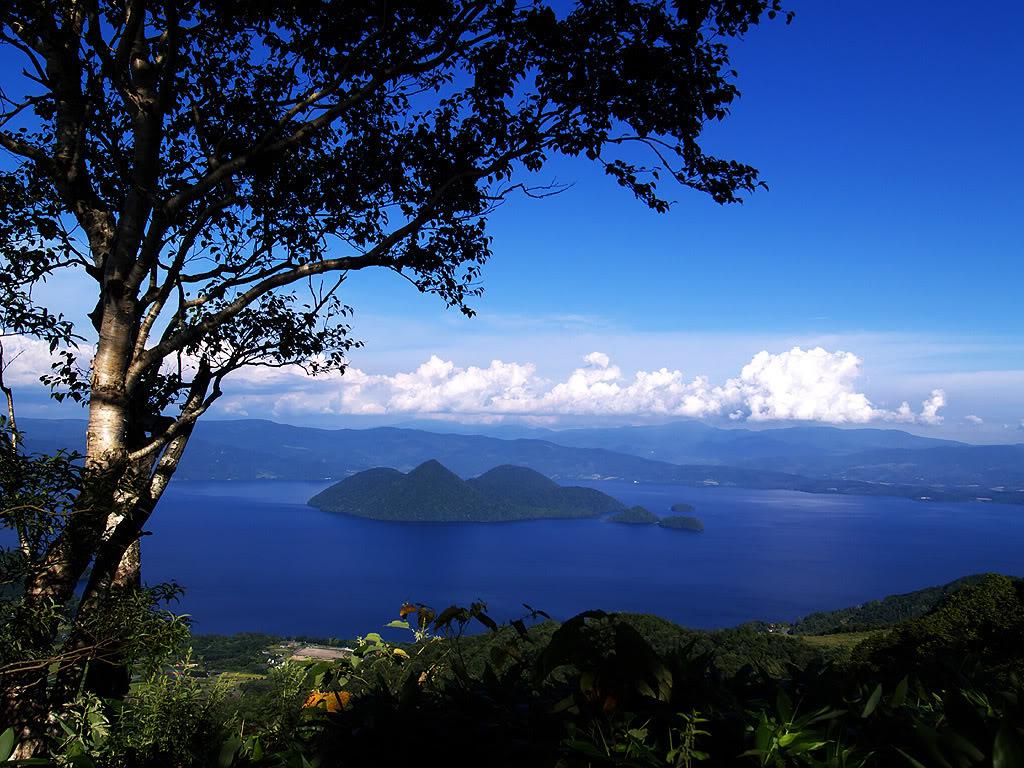 【 【富士山】五合目】 【富士山】在日語中的意思是