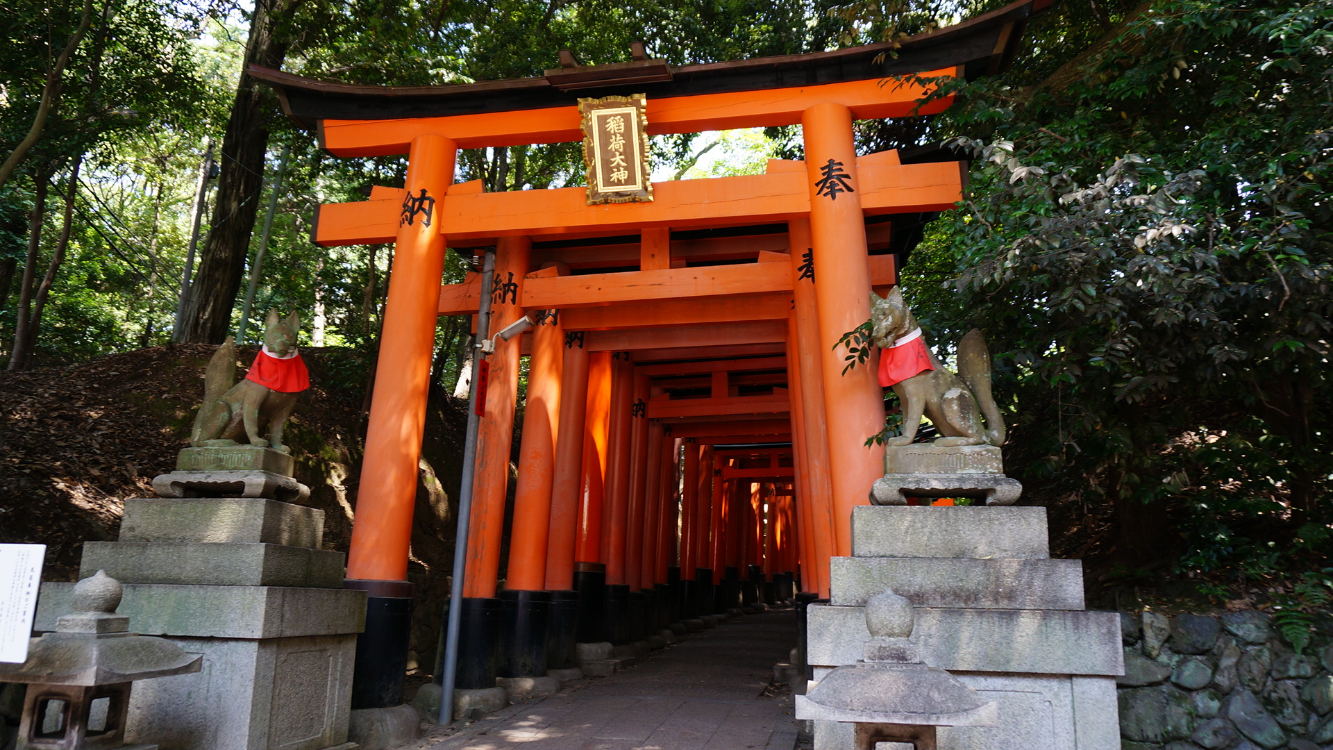 【樱花】日本关西一地大阪奈良京都5日饕餮美食游(半天自由行 帝王蟹