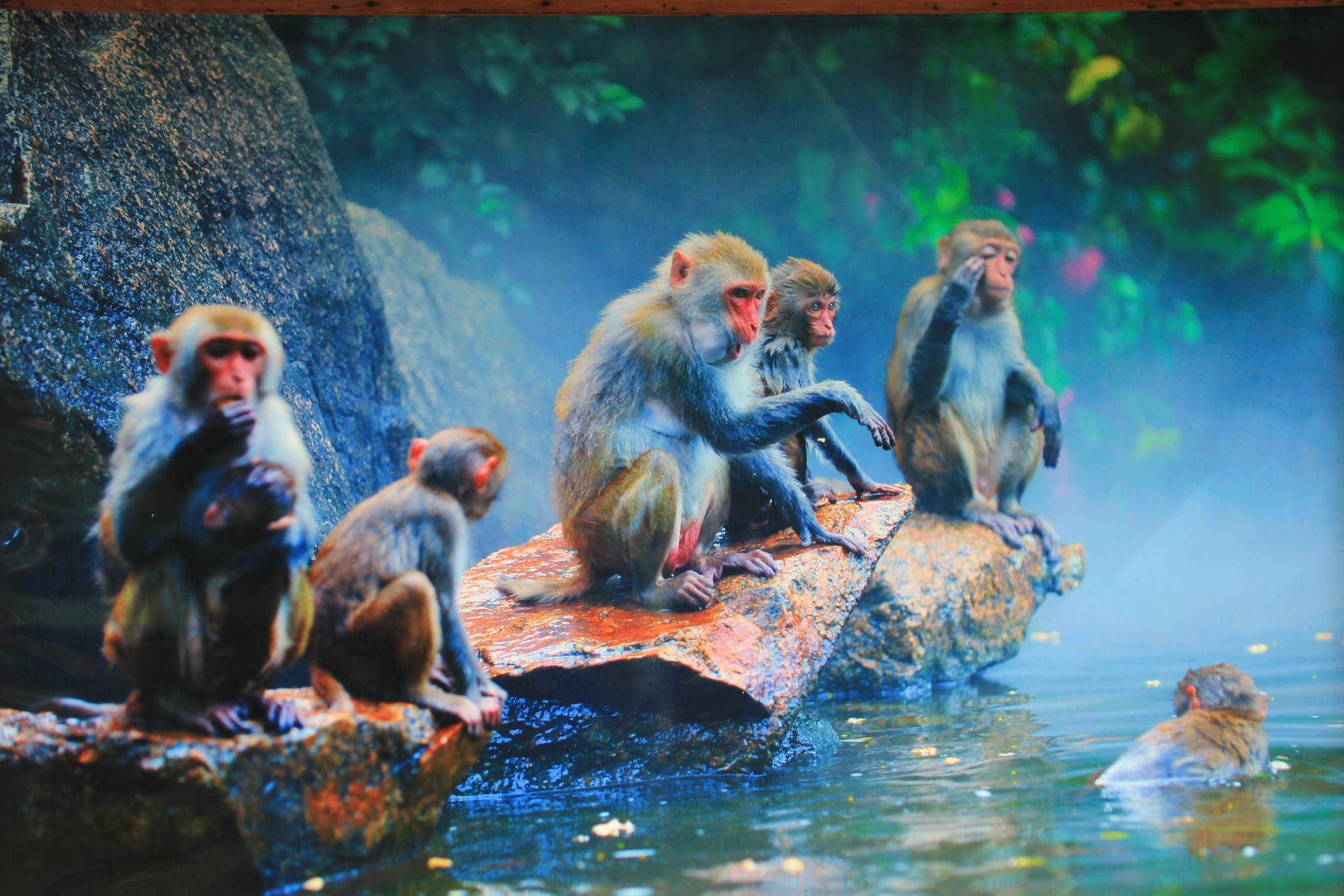 【夜游 【三亚】湾】:赠送项目-乘坐游船畅游美丽的 【三亚】湾,遥望