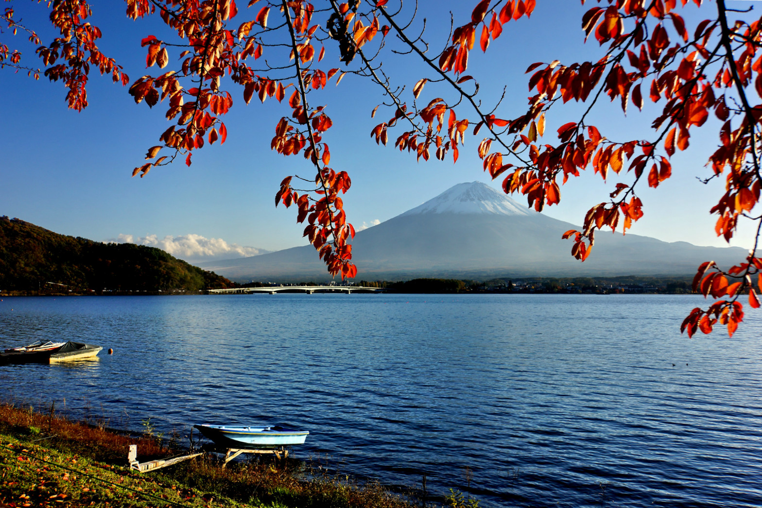 【暑期大促】日本东京 箱根 京都 大阪6日5晚游(奥特莱斯/温泉酒店)