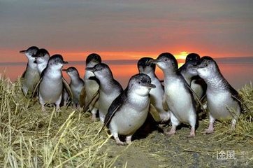 20160422131657_4093.jpg