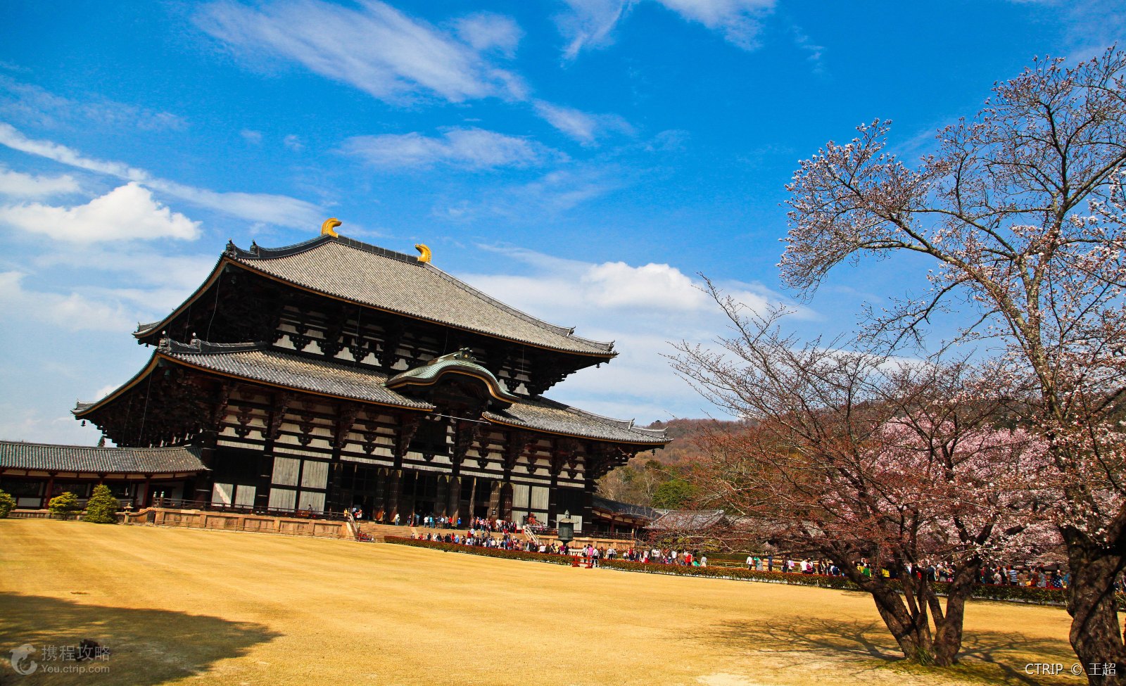 【报名前6人立减200/人】日本本州纯玩6日游(一晚温泉 关东关西2地连