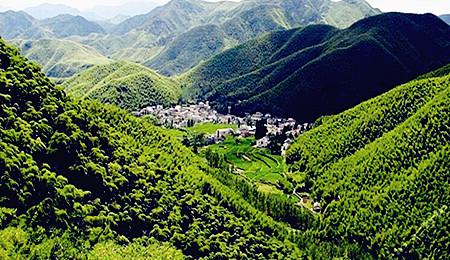 德清莫干山,下渚湖,莫干山后坞村农家乐2晚3日游