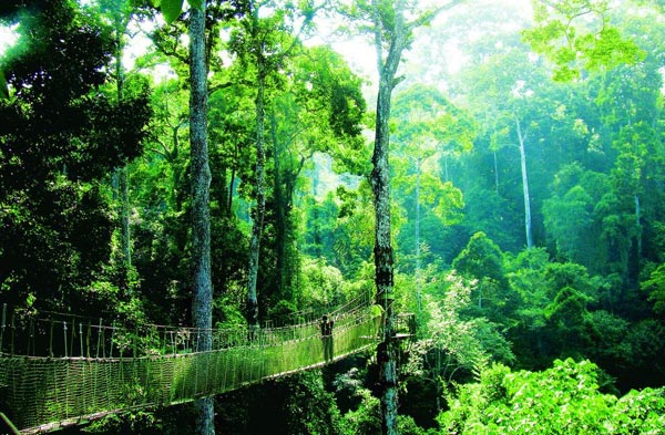 云南昆明,勐仑,版纳万达,野象谷5晚6日跟团游(三飞,萤火虫派对,七星