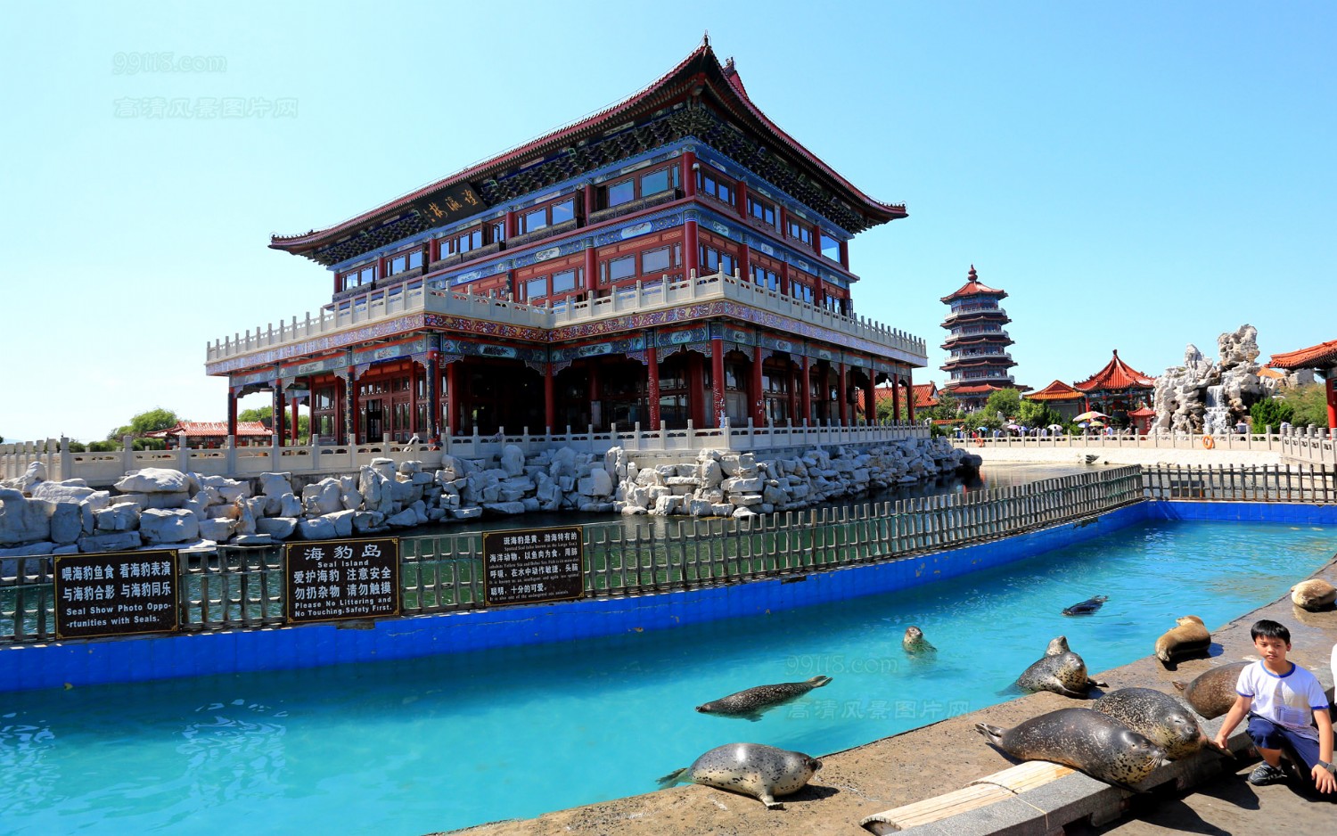 山东青岛,烟台,威海,蓬莱八仙渡,日照童话岛双飞4晚5日游