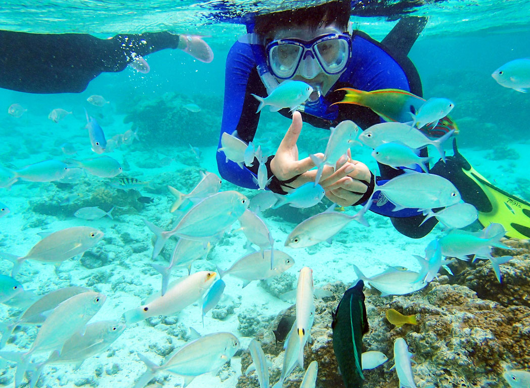 巴厘岛 日惹5晚7日超值游(一次游2个印尼城市/五星