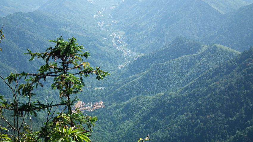 午餐後遊覽 【天目山】(山下五大景區,不上山)(禪源寺,千年古樹,仙人