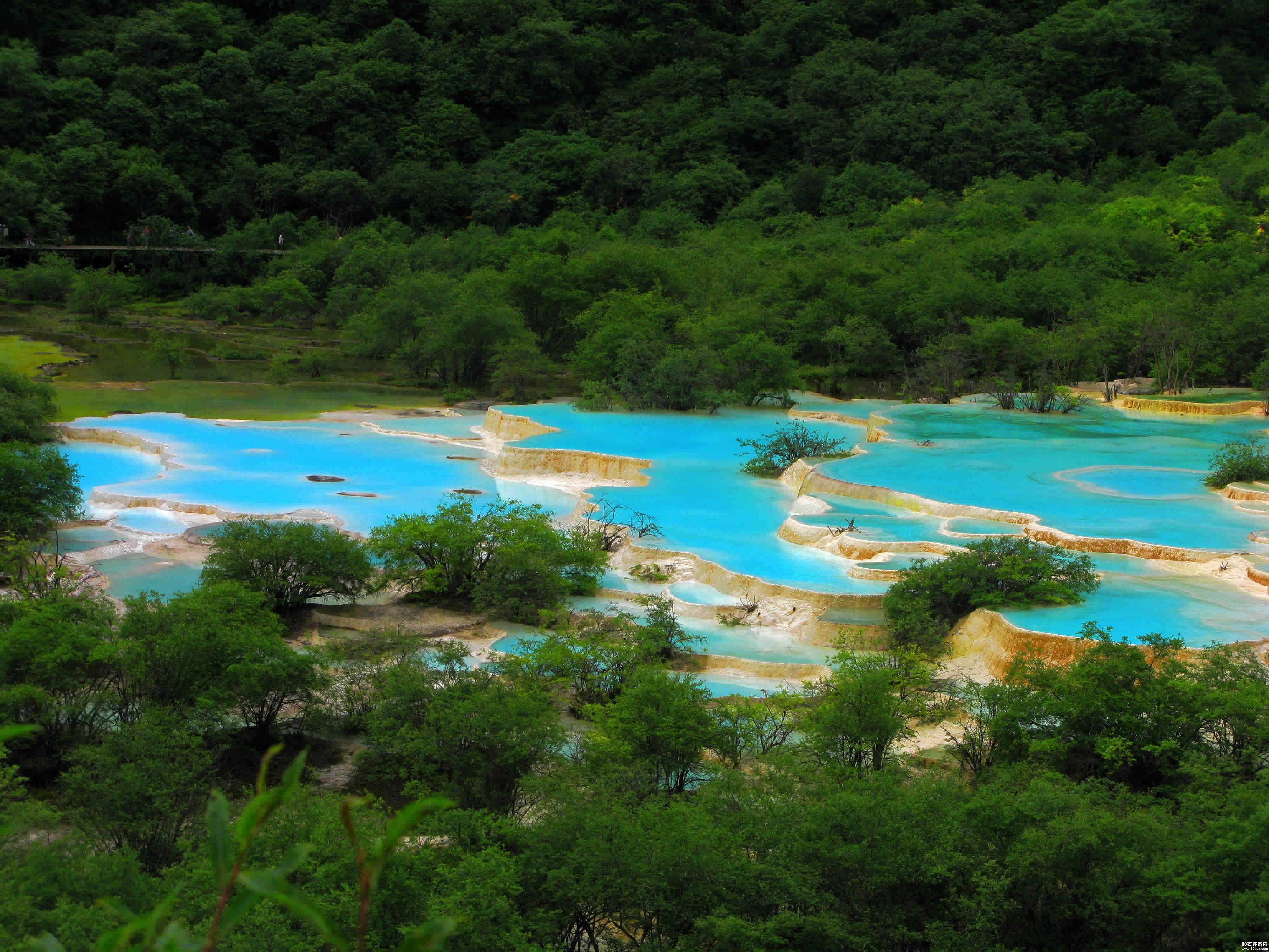 九寨沟黄龙峨眉山乐山四飞5晚6日游