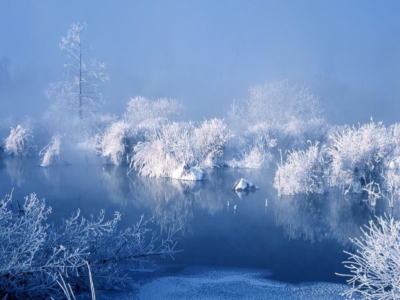 哈尔滨,镜泊湖,雪乡,长白山,魔界,吉林六晚七日跟团游(,温泉