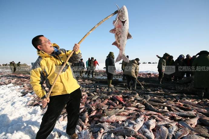 雪岭穿越-哈尔滨,亚布力,雪岭,东北虎园,金源渔猎文化区双飞4晚5日