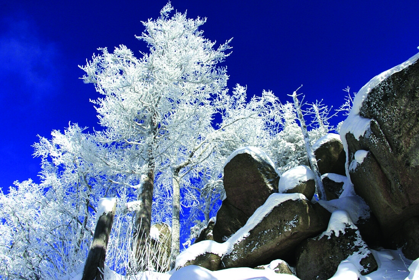 【至尊冰雪【0购物 0自费】哈尔滨,虎峰岭,雾凇岭,神秘冬捕,雪乡