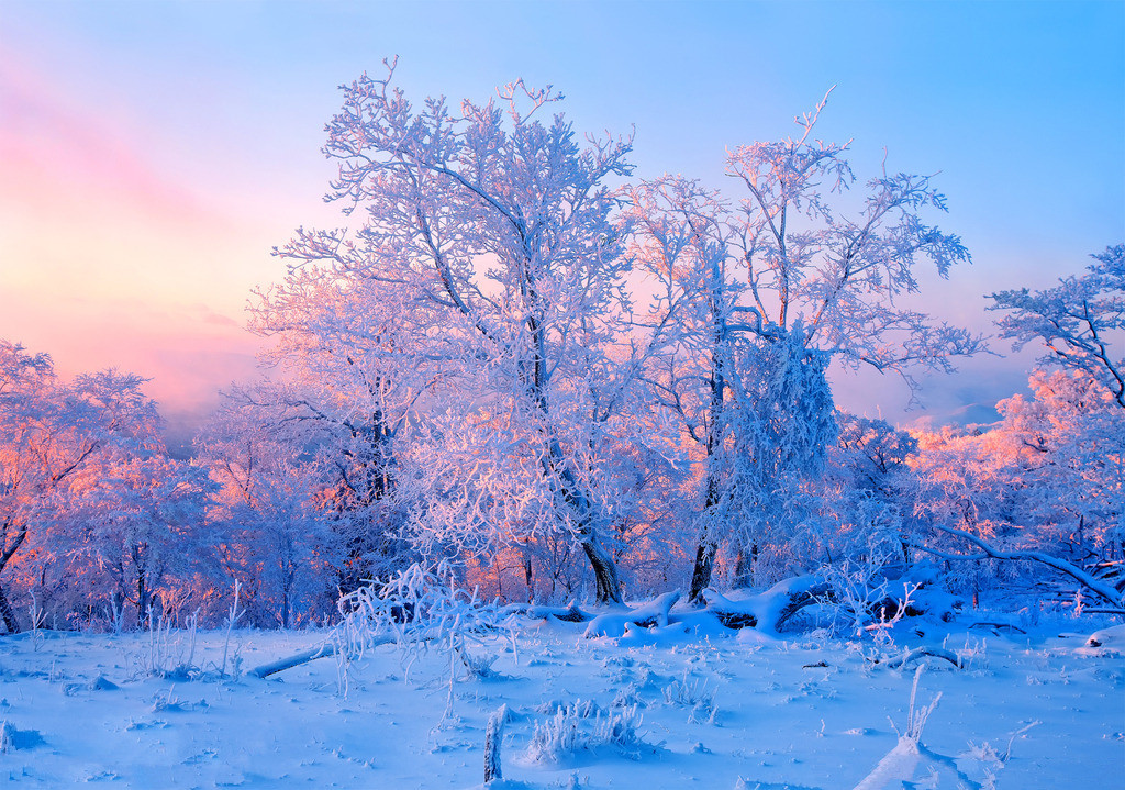 吉林雾凇岛,长白山,寒地温泉,雪狼谷,雪乡,亚布力,哈尔滨6天5晚跟团游
