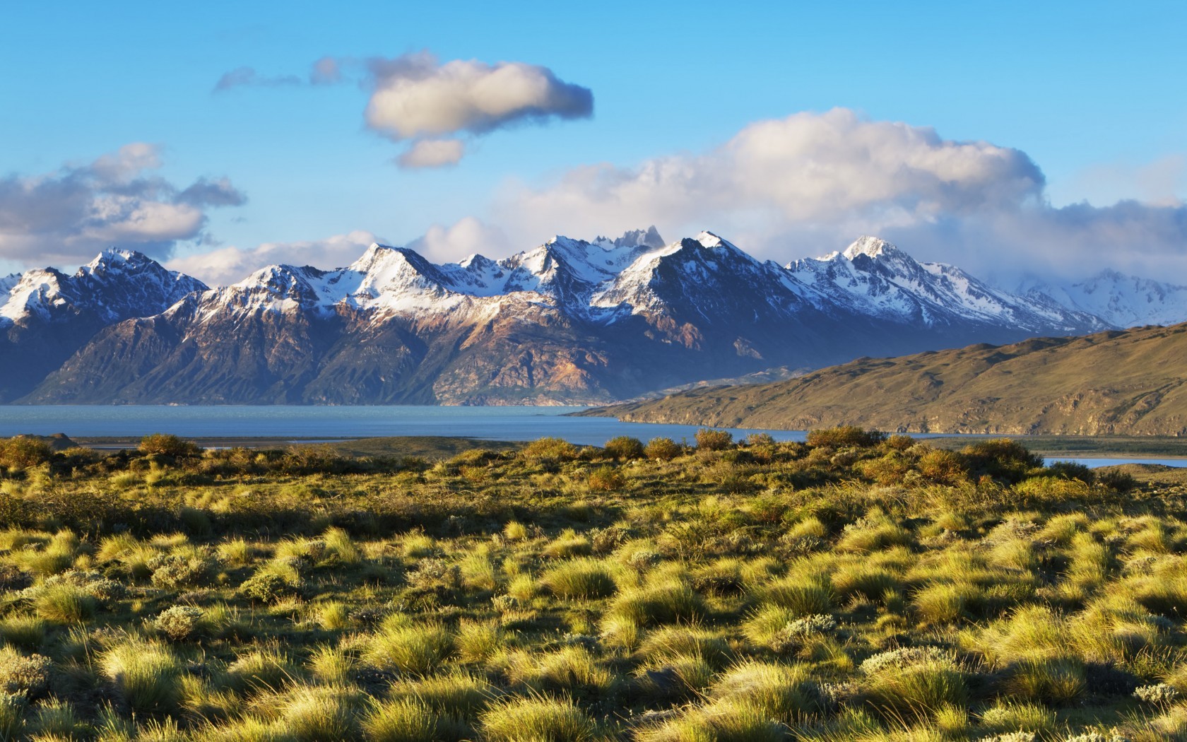 【单次】阿根廷个人旅游签证( 全国受理 电子签)