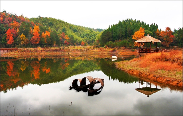【错峰游】千岛湖西南湖区龙川湾1日跟团游