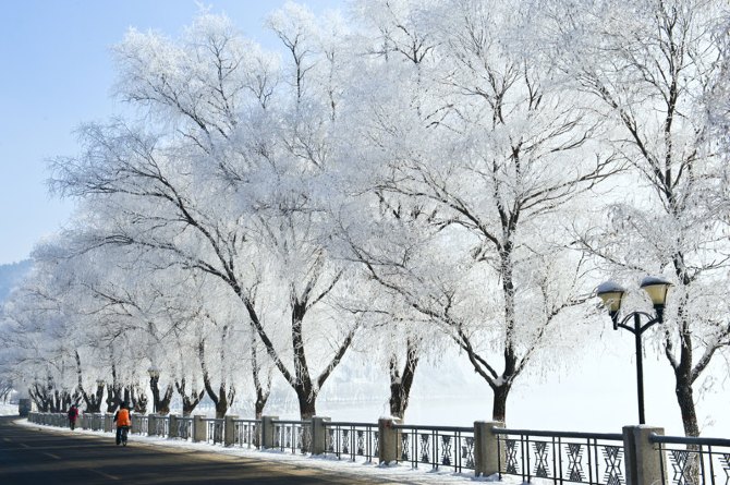 全景嬉戏东北- 哈尔滨,亚布力,土匪寨子,雪乡,长白山