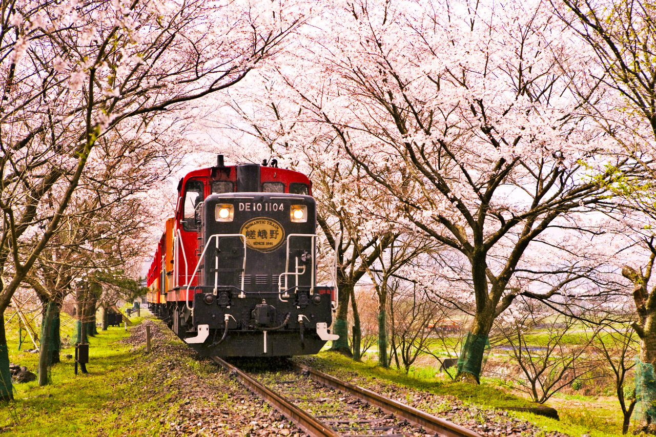 日本大阪 京都 嵐山4晚5日私家遊(5星酒店,和服體驗,嵐山小火車)