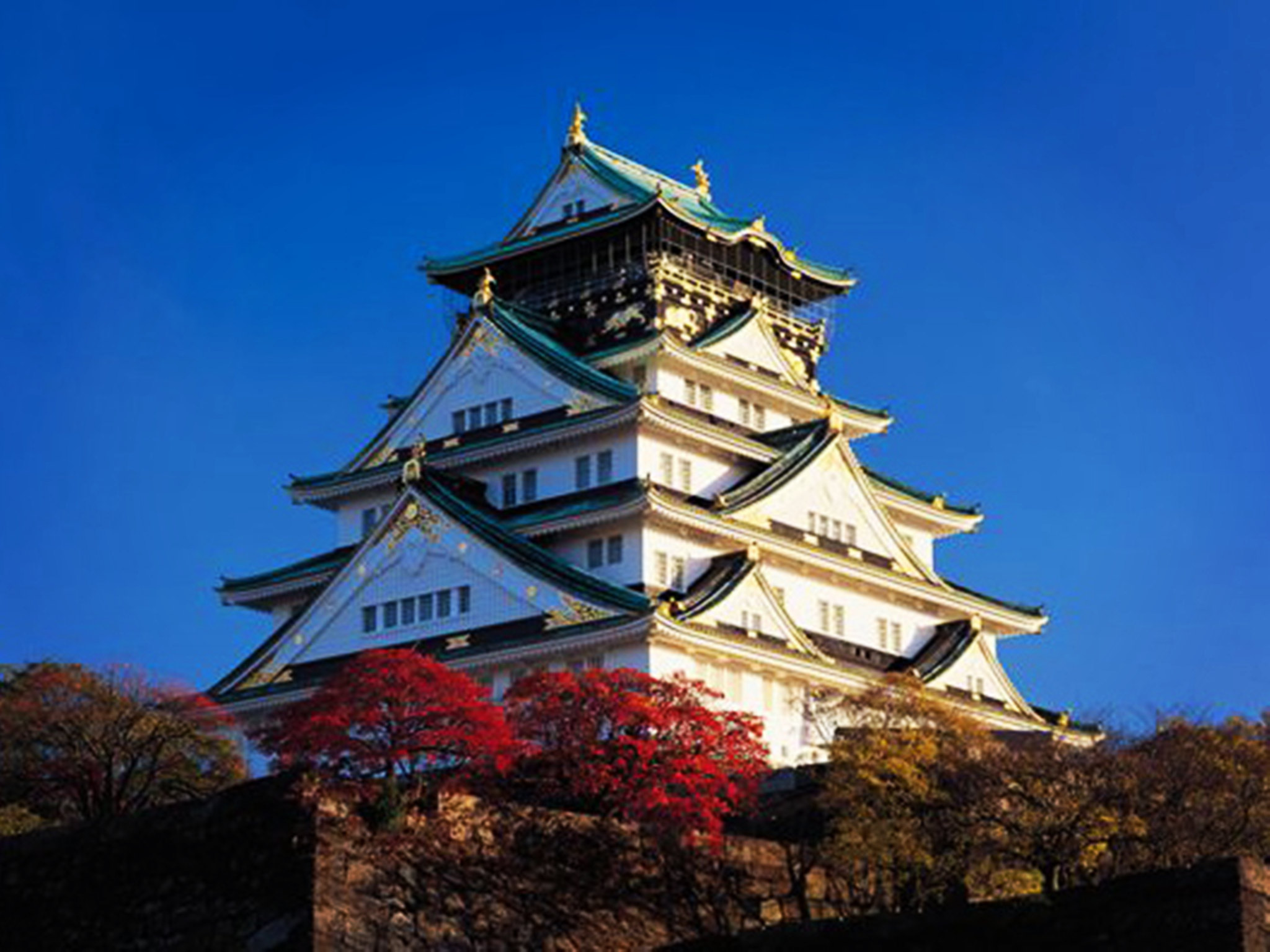 【樱花季】日本本州全景5晚6日游(jd阪静线,1晚温泉酒店,美食畅享)