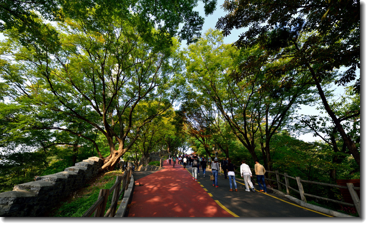 韩国首尔 济州 釜山四飞4晚5日游(大韩航空,四花酒店,釜山镇海看樱花