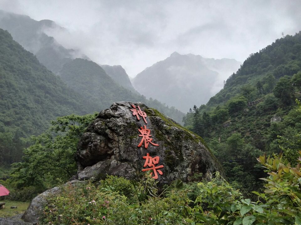 神农架全景,宜昌西陵峡口5晚6日跟团游(双动 无购物)